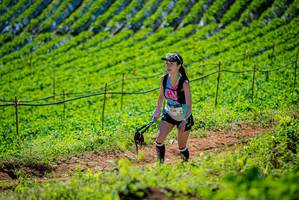 BIB: 109
                            <button type="button" onclick="openModal(19163206)" class="btn btn-primary btn-sm float-right btn-popup" data-toggle="modal" data-target=".modal-high-quality">
                        <i class="fas fa-shopping-cart"></i> Add to Cart
                    </button>
                                            <button type="button" onclick="isThisMe(19163206, true)" class="btn btn-success btn-sm float-right btn-popup btn-isme hidden" data-toggle="tooltip" data-placement="bottom" title="นี่คือรูปของคุณใช่ไหม คลิกที่นี่เพื่อเอาเข้าอัลบั้ม">
                        <i class="fas fa-plus"></i> Add to album
                    </button>
                    <button type="button" onclick="isThisMe(19163206, false)" class="btn btn-warning btn-sm float-right btn-popup btn-isnotme hidden">
                        <i class="fas fa-ban"></i> Remove from album
                    </button>